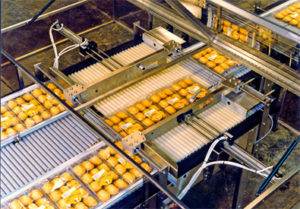 Slip-Torque Roller Technology For Food Conveying